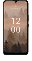 C31